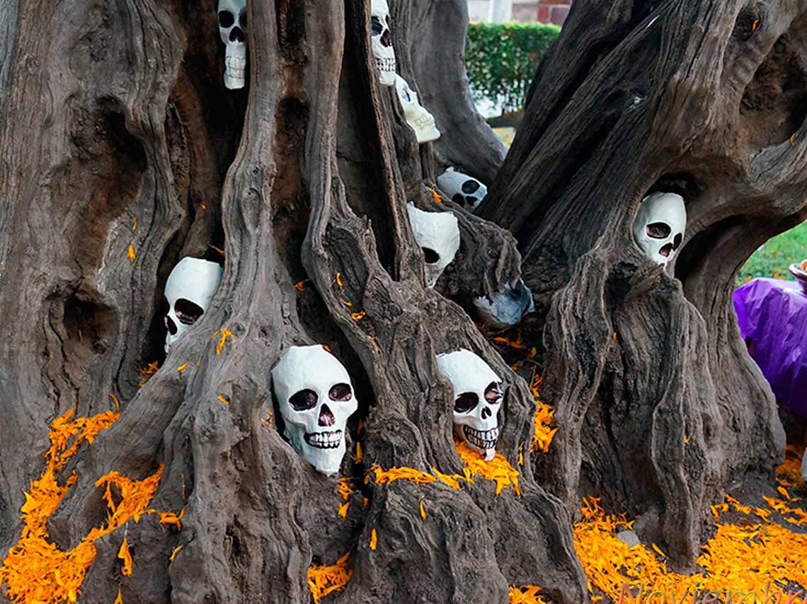 Noche de Leyendas y ofrendas en la sierra de Tepotzotlán