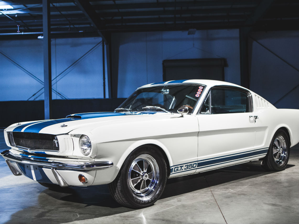 exhibición de mustangs