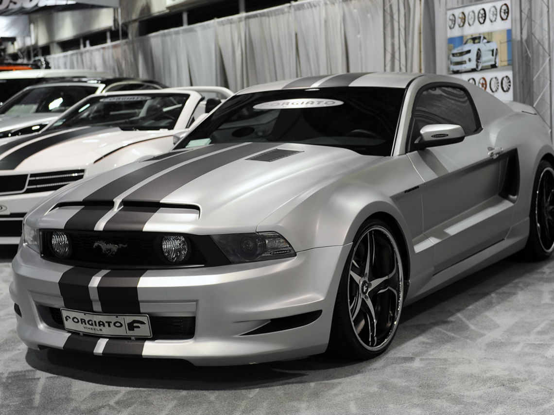 exhibición de mustangs