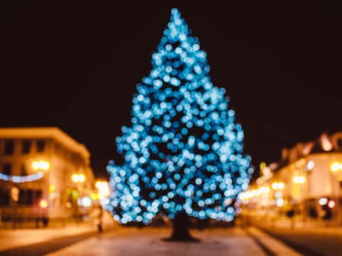 Luces navideñas en CDMX: árboles emblemáticos