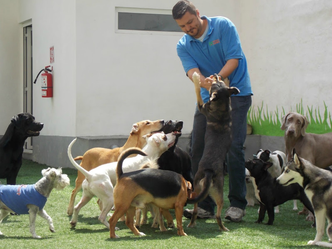 Hoteles para perros en el DF