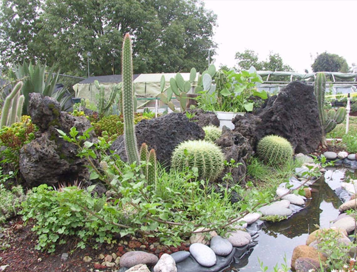 jardines botanicos en el df