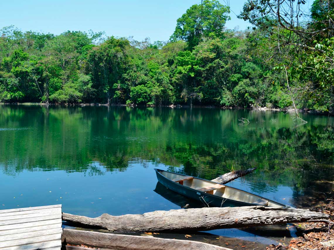 3 destinos ecoturísticos con cabañas en México