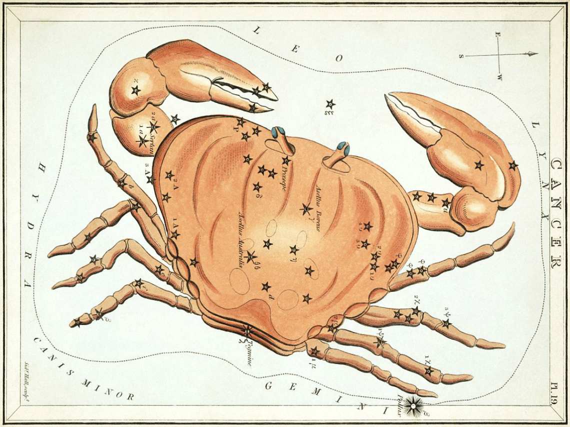 en qué delegación vivir según tu signo zodiacal