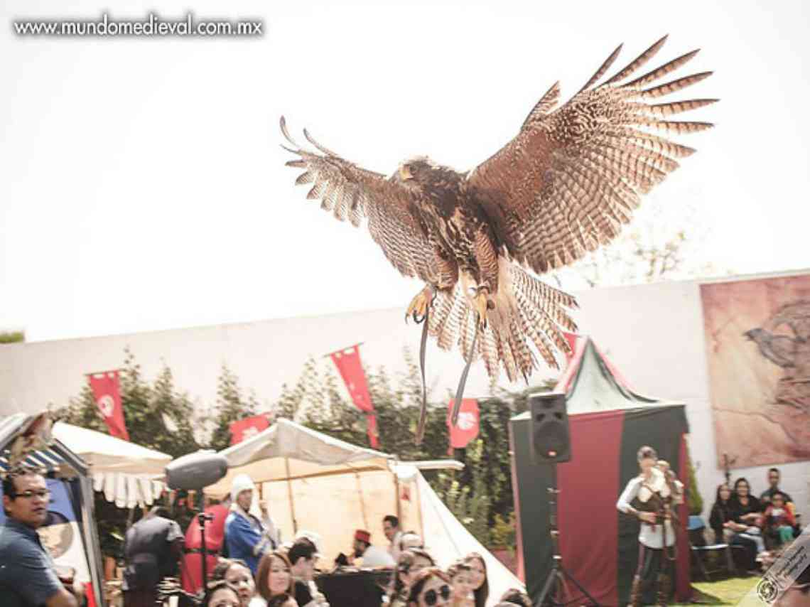 Festival Mundo Medieval en la CDMX