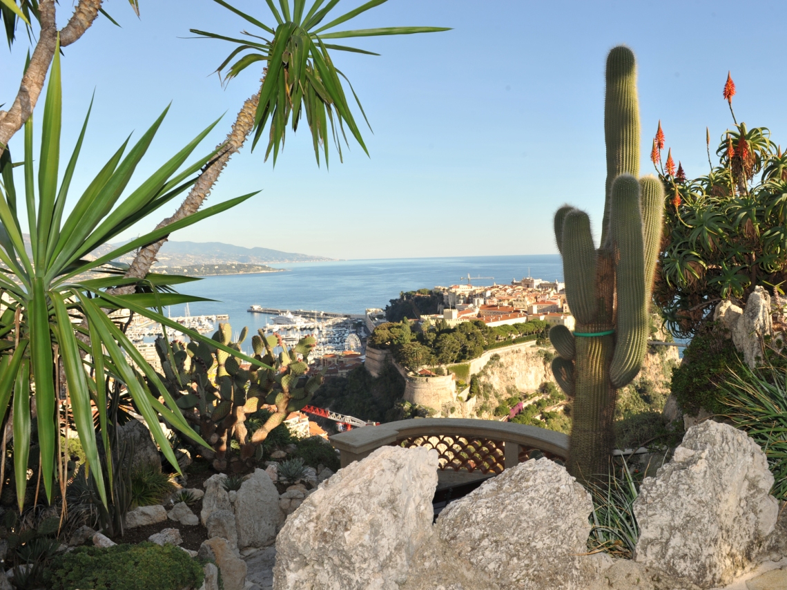 historias de amore en Francia - Monaco