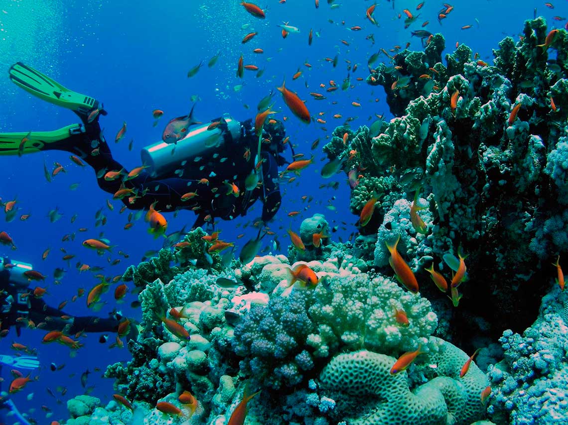 arrecifes de coral en mexico para bucear