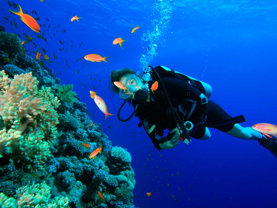 Arrecifes de coral en México para bucear y hacer snorkel 0