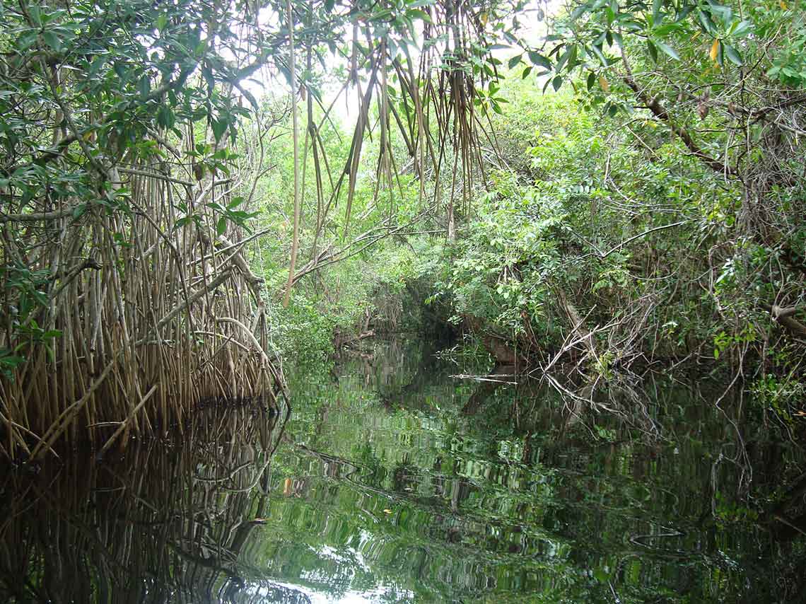 destinos-con-paisajes-escondidos-en-mexico-1