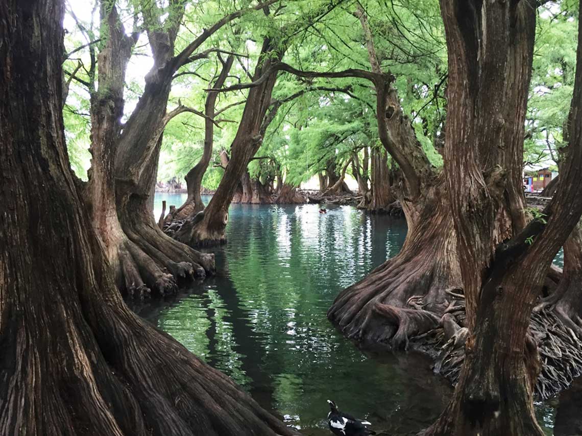 Paisajes únicos en México: vive la aventura