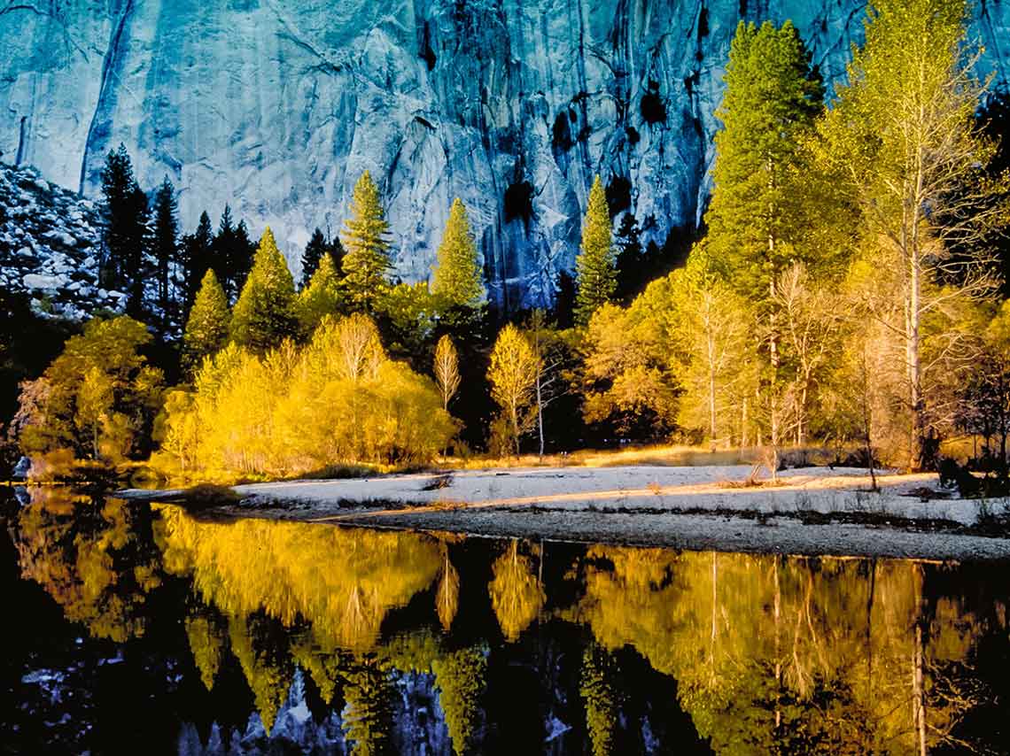 Navega dentro de un pantano, cruza un bosque en lancha, recorre el centro de la ciudad en un lago y descubre estos paisajes escondidos en México.