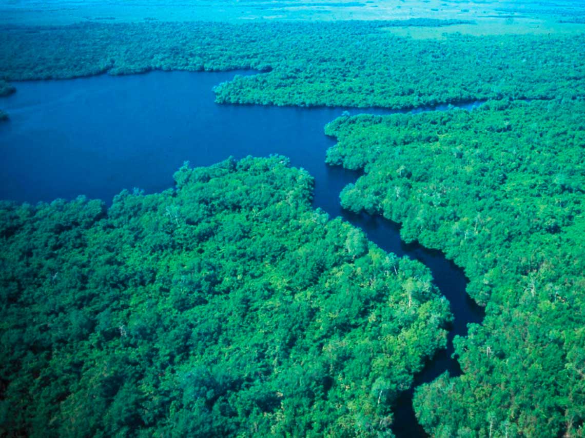 Navega dentro de un pantano, cruza un bosque en lancha, recorre el centro de la ciudad en un lago y descubre estos paisajes escondidos en México.