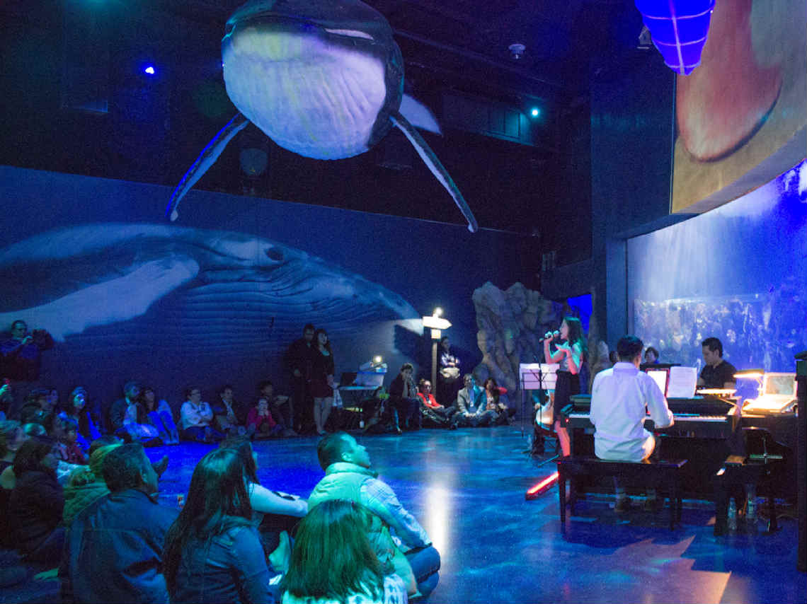 noche de museos de febrero 2017