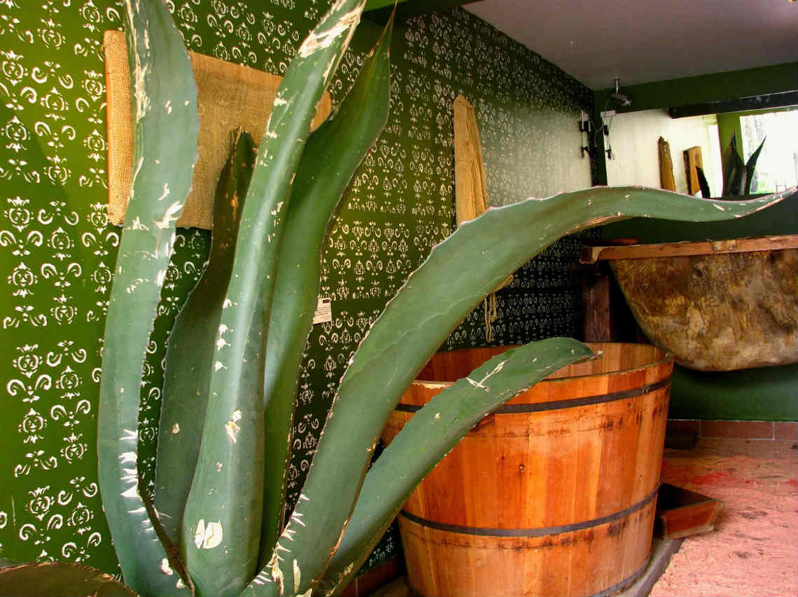 Ferias del pulque