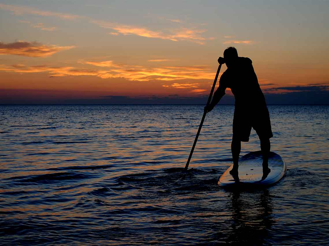 Actividades de aventura en Sayulita: ¡Vuela entre la selva! 6