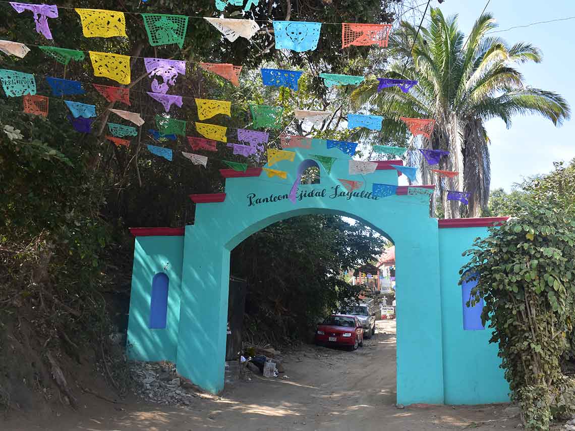 Actividades de aventura en Sayulita: ¡Vuela entre la selva! 4