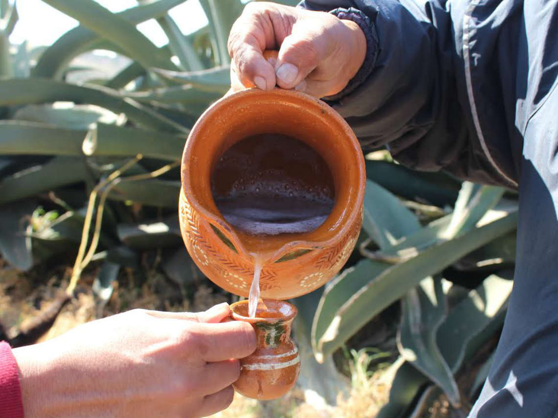 ferias de pulque