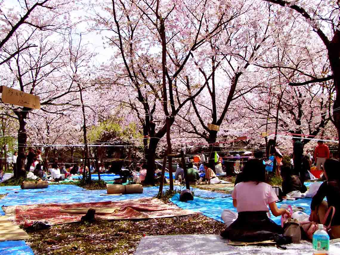 Festival japonés de primavera 2017 en la Ciudad de México