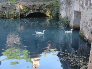 Hacienda San Miguel Regla: un secreto para descansar 0