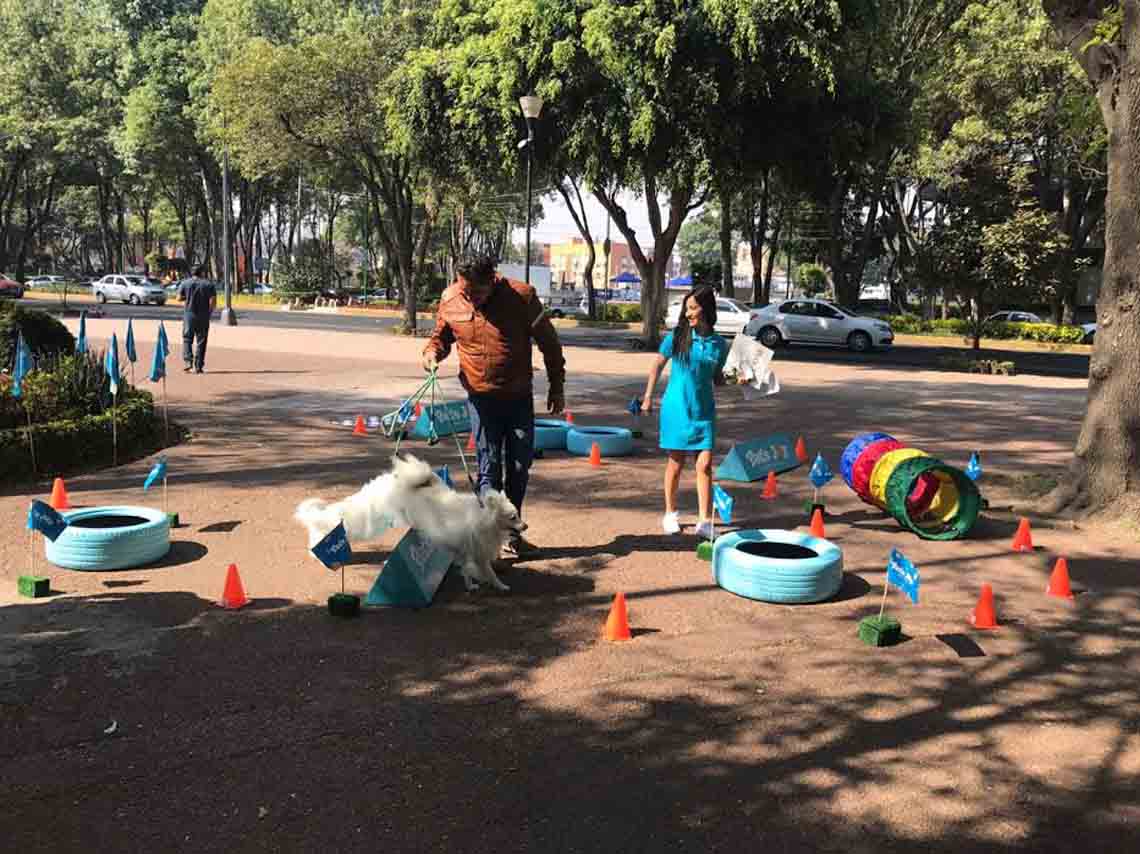 planes-baratos para-ir-con-niños