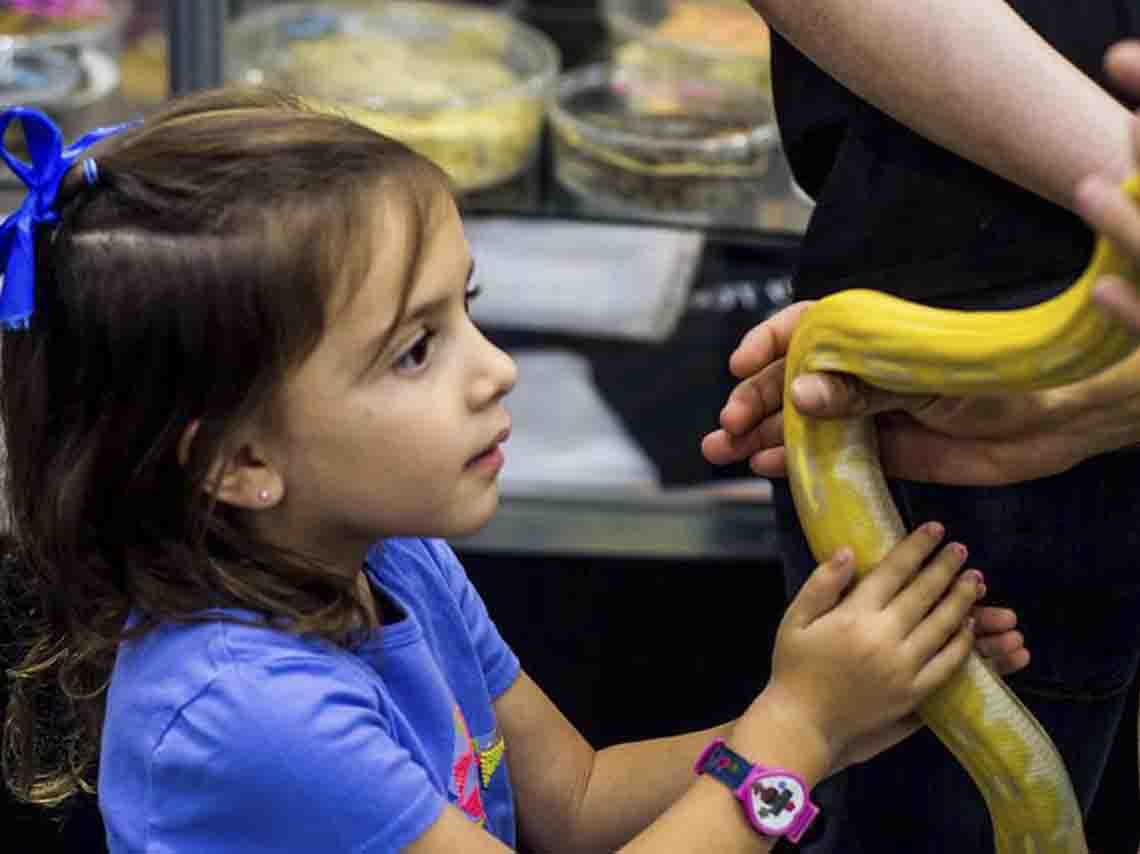 expo-de-reptiles-2017-en-ciudad-de-mexico-01