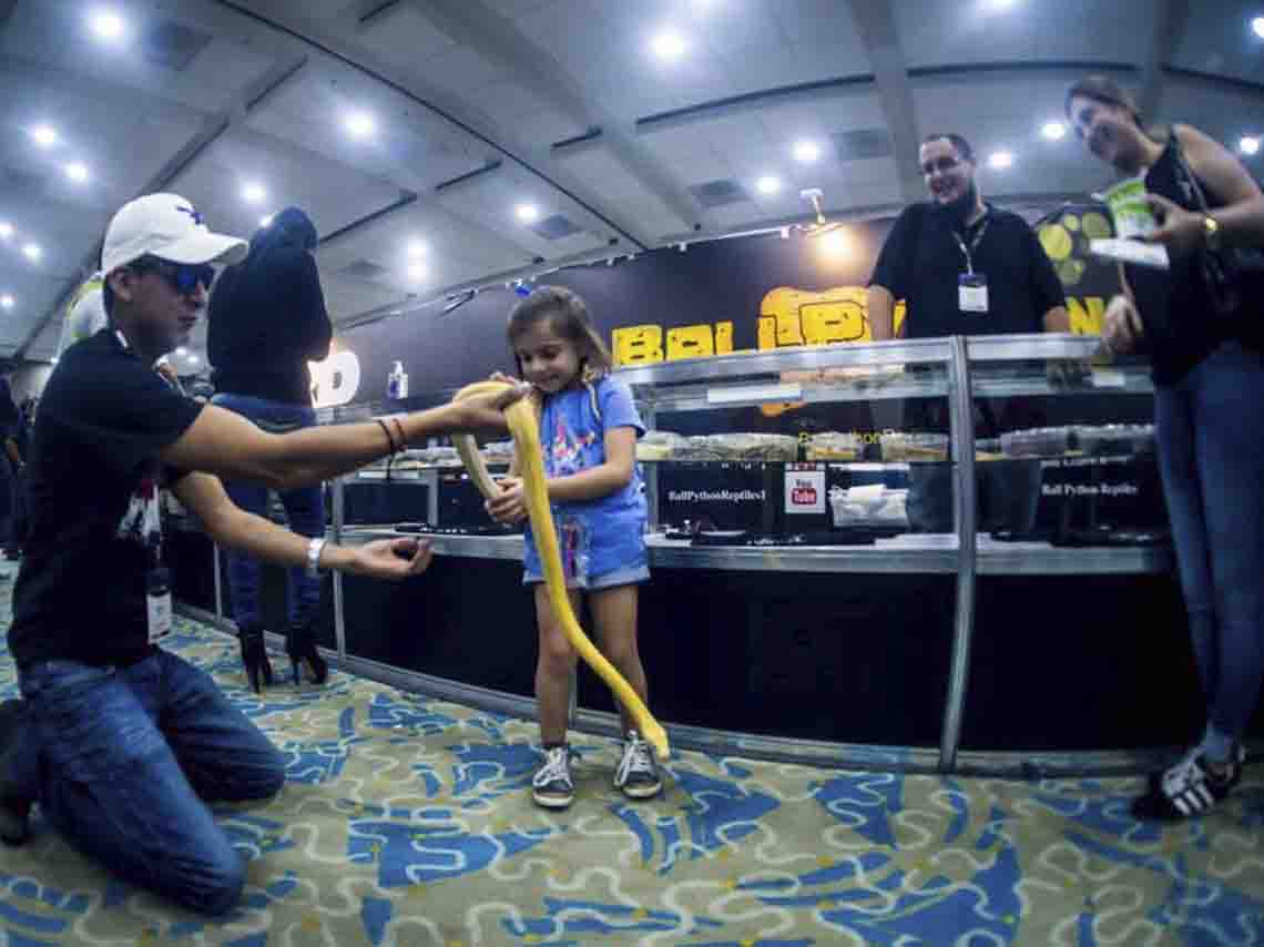 expo-de-reptiles-2017-en-ciudad-de-mexico-02