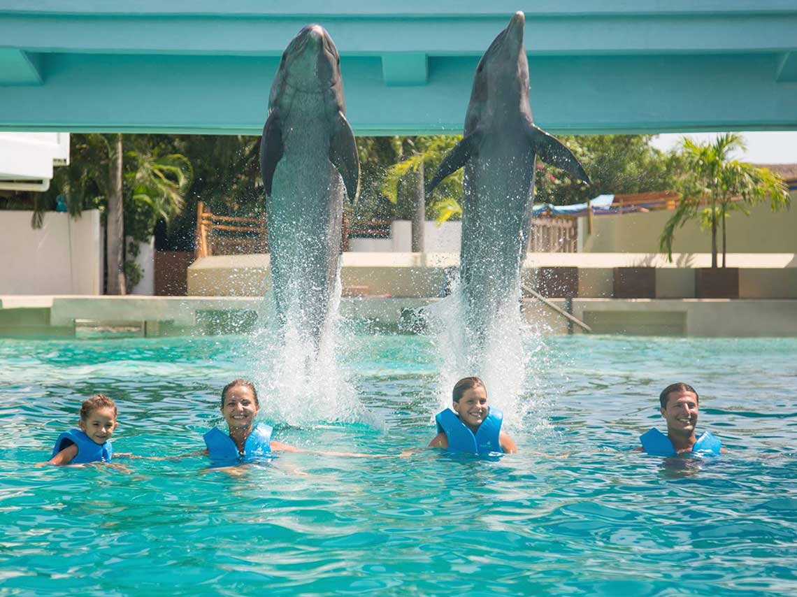 Lugares para nadar con delfines a 4 metros bajo el agua ¡Bucea con ellos! 10