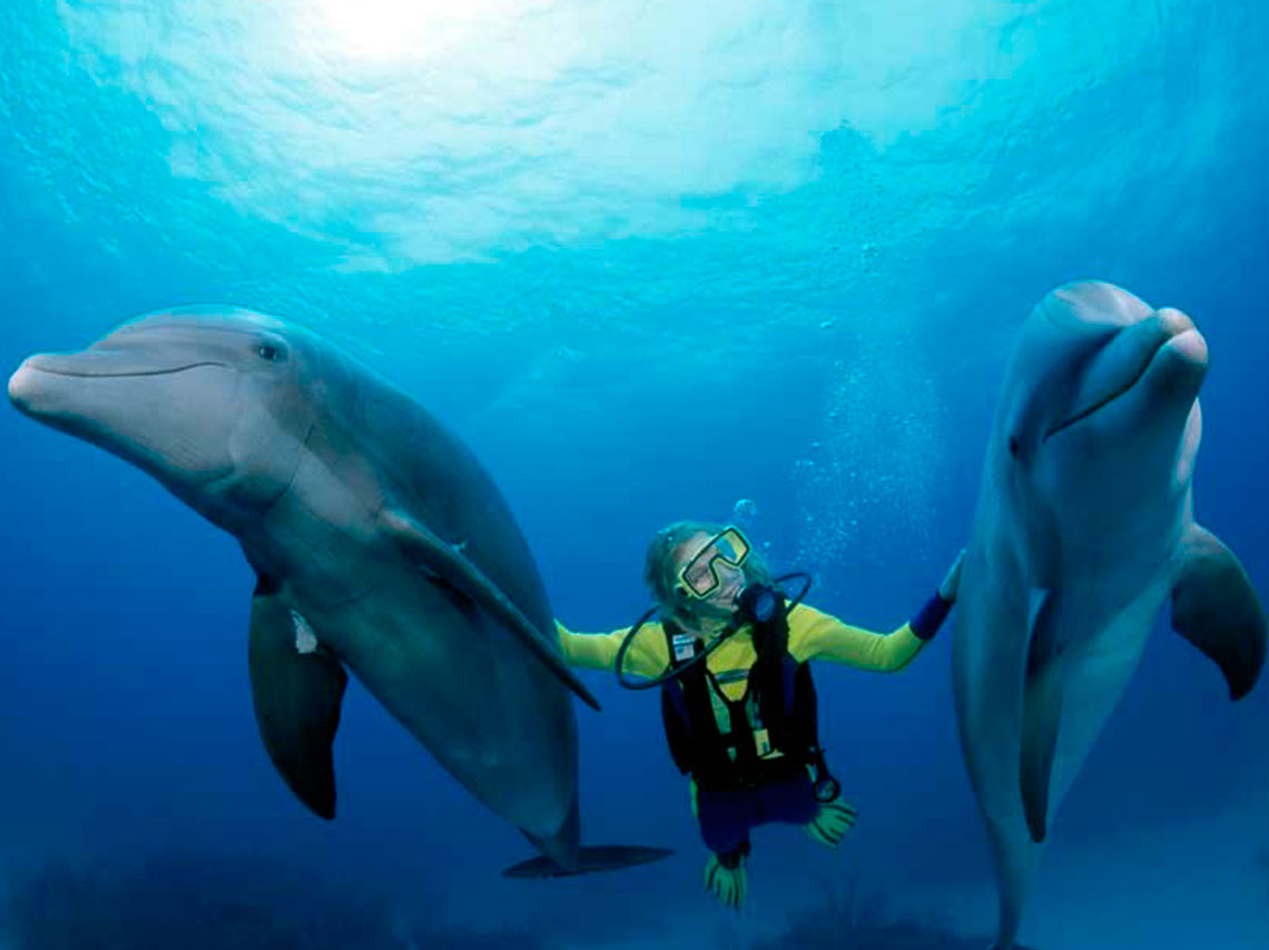 lugares-nadar-delfines-a-4-metros-bajo-agua-07