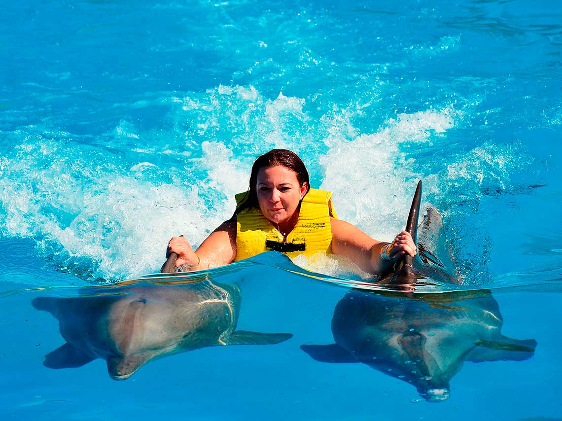 lugares-nadar-delfines-a-4-metros-bajo-agua-09