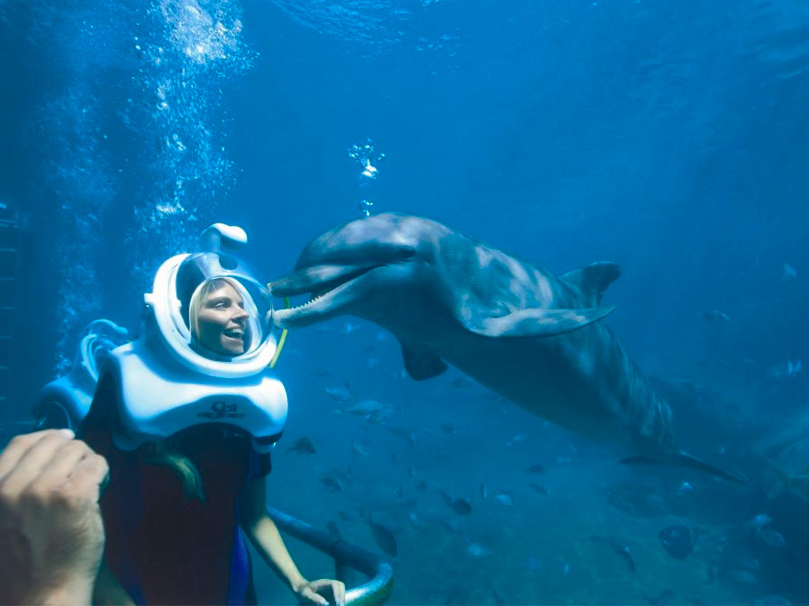 lugares-nadar-delfines-a-4-metros-bajo-agua-13