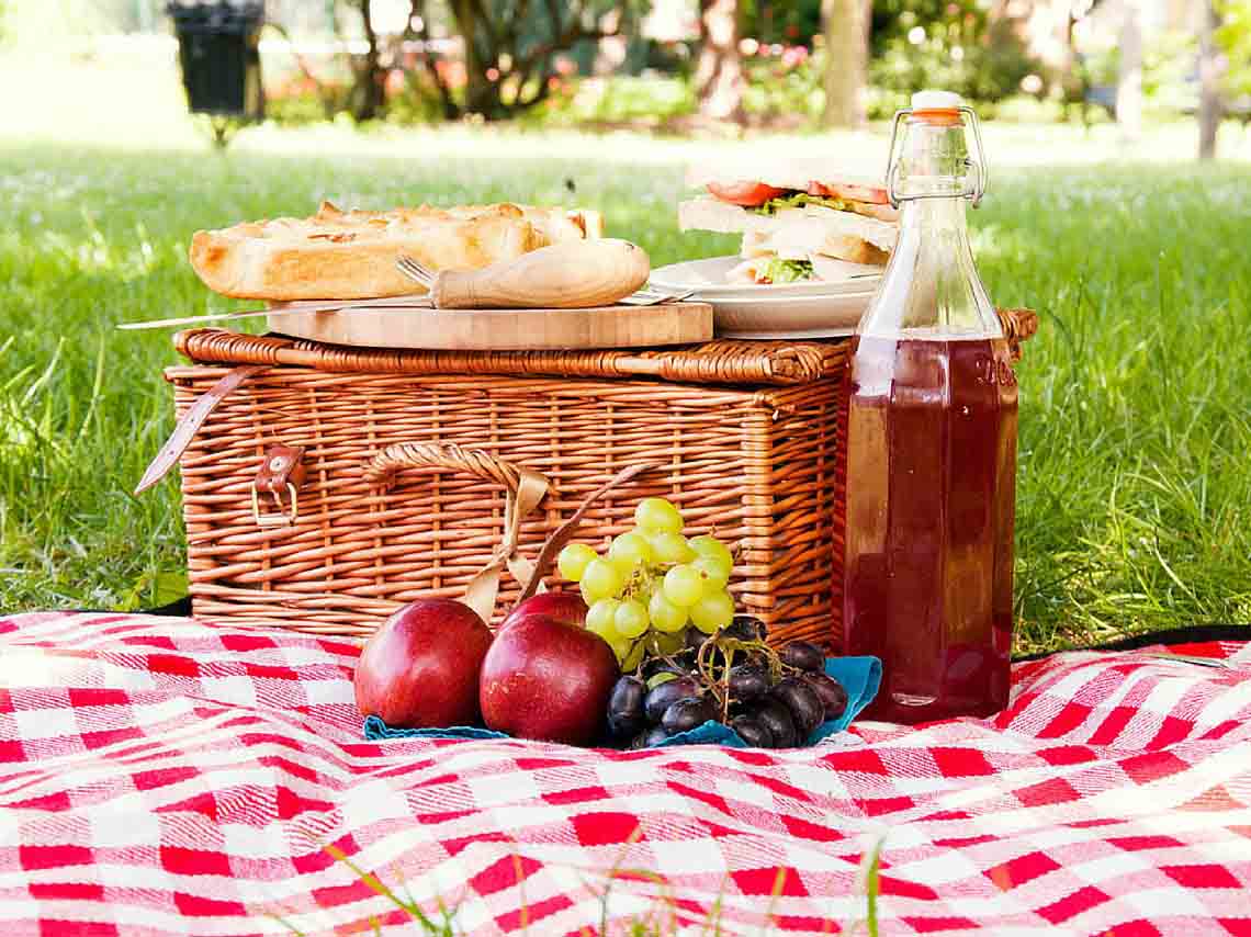 picnic-en-viaducto-rio-de-la-piedad-el-primero-en-el-2017-02