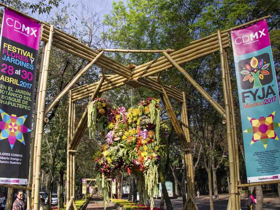 polanco-se-llena-de-flores-con-el-fyja-2017-02