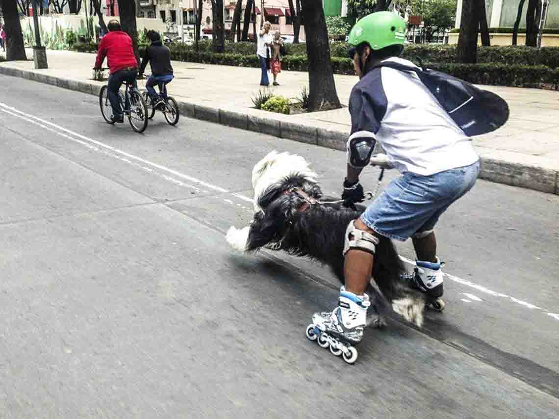 rolleada-nacional-2017-en-cdmx-03