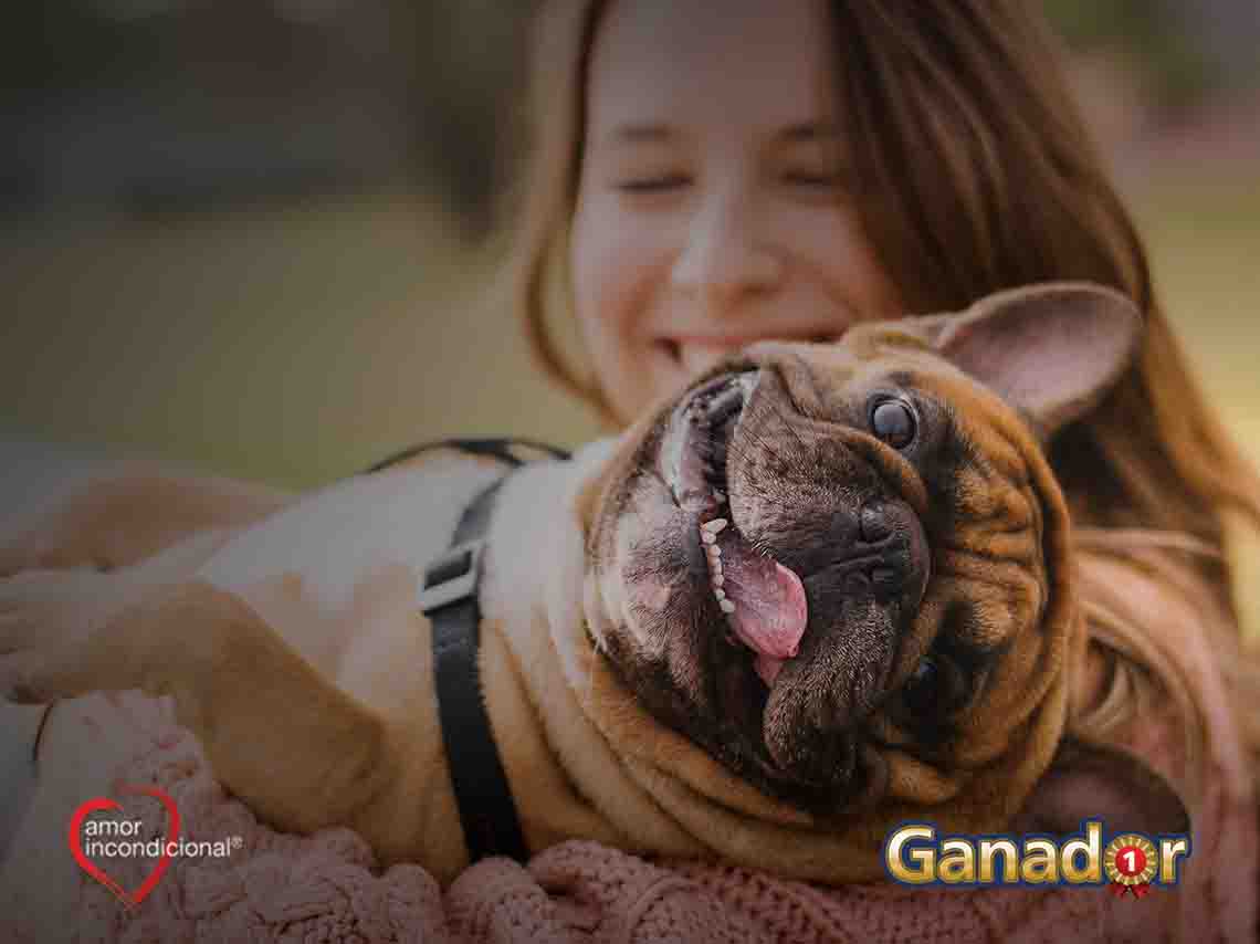 Gana con DÓNDE IR, Ganador, Minino Plus y Pets Joy