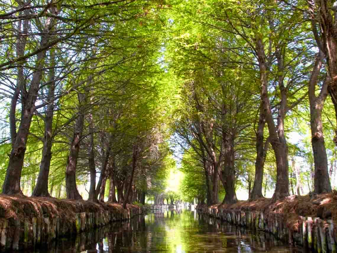 Chinampas Running 2017 en CDMX ¡literal! 8 km de carrera entre las chinampas