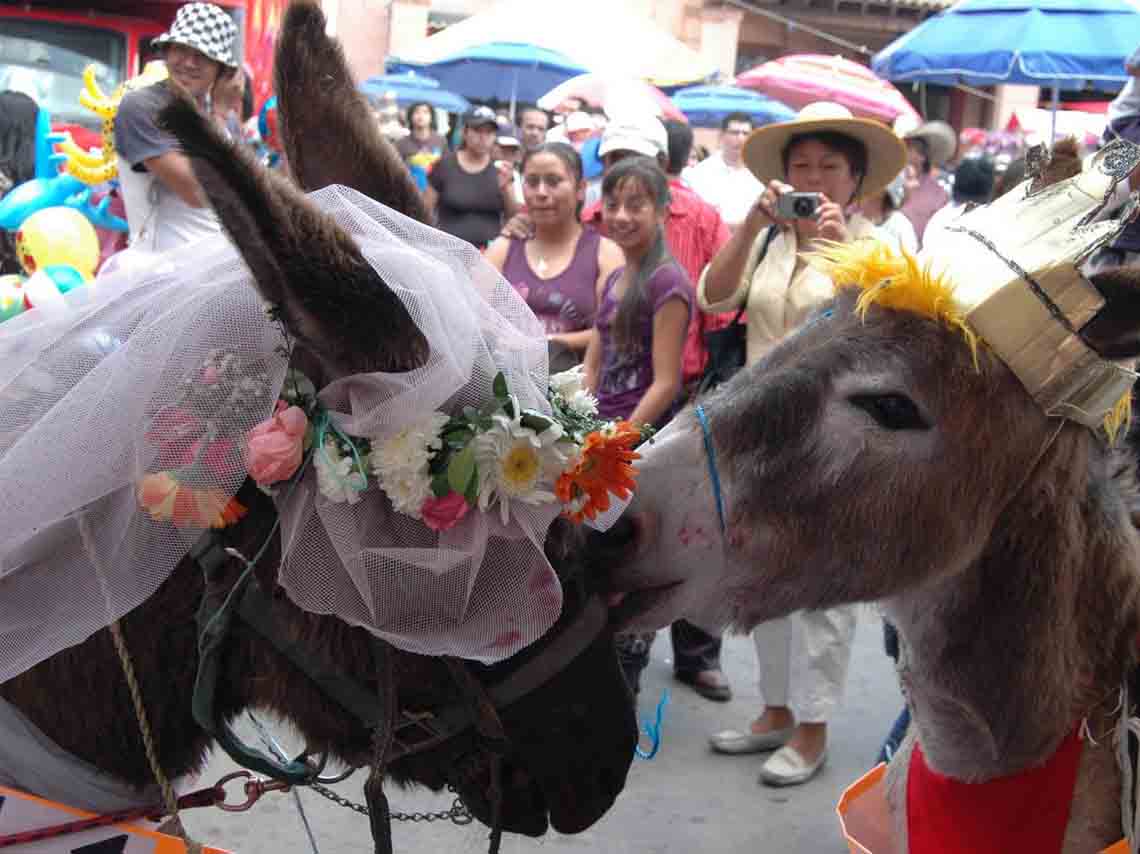 las-ferias-mas-raras-de-la-ciudad-de-mexico-01