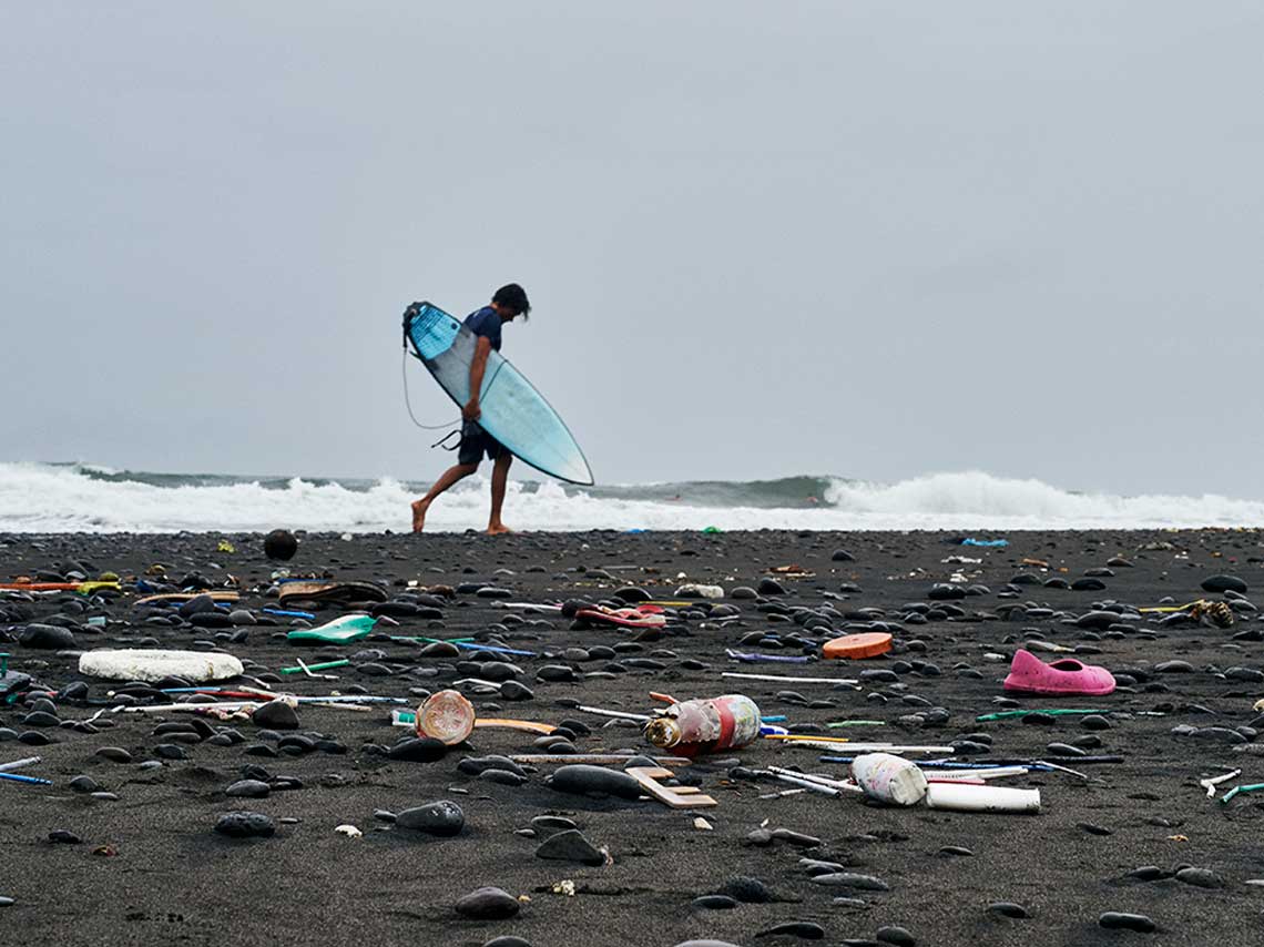 Programas de voluntariado en México para salvar playas