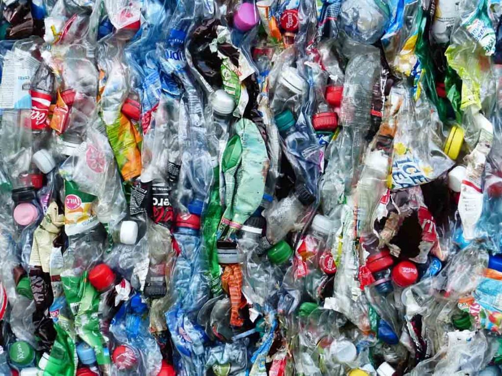 reciclar pet en ciudad de mexico ayuda al ambiente y gana dinero 05