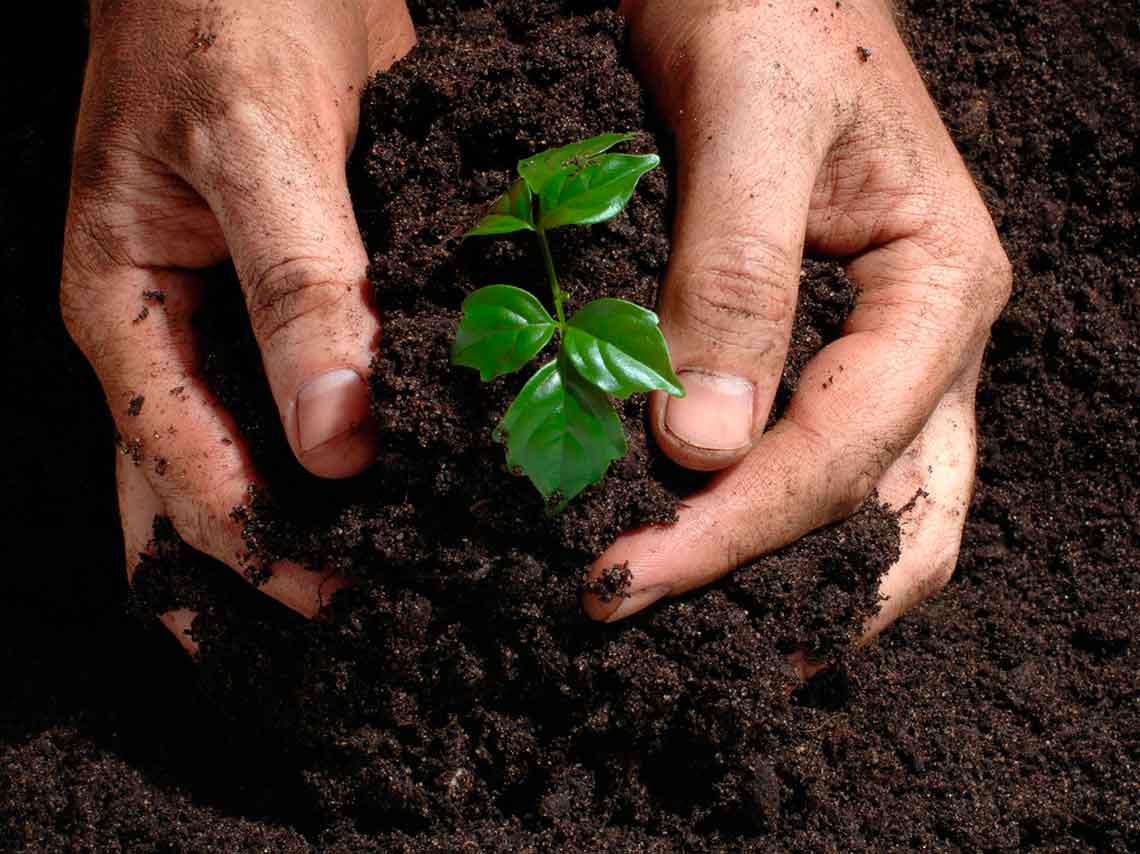 Viaja y gana dinero ayudando a los demás: Voluntariados cool