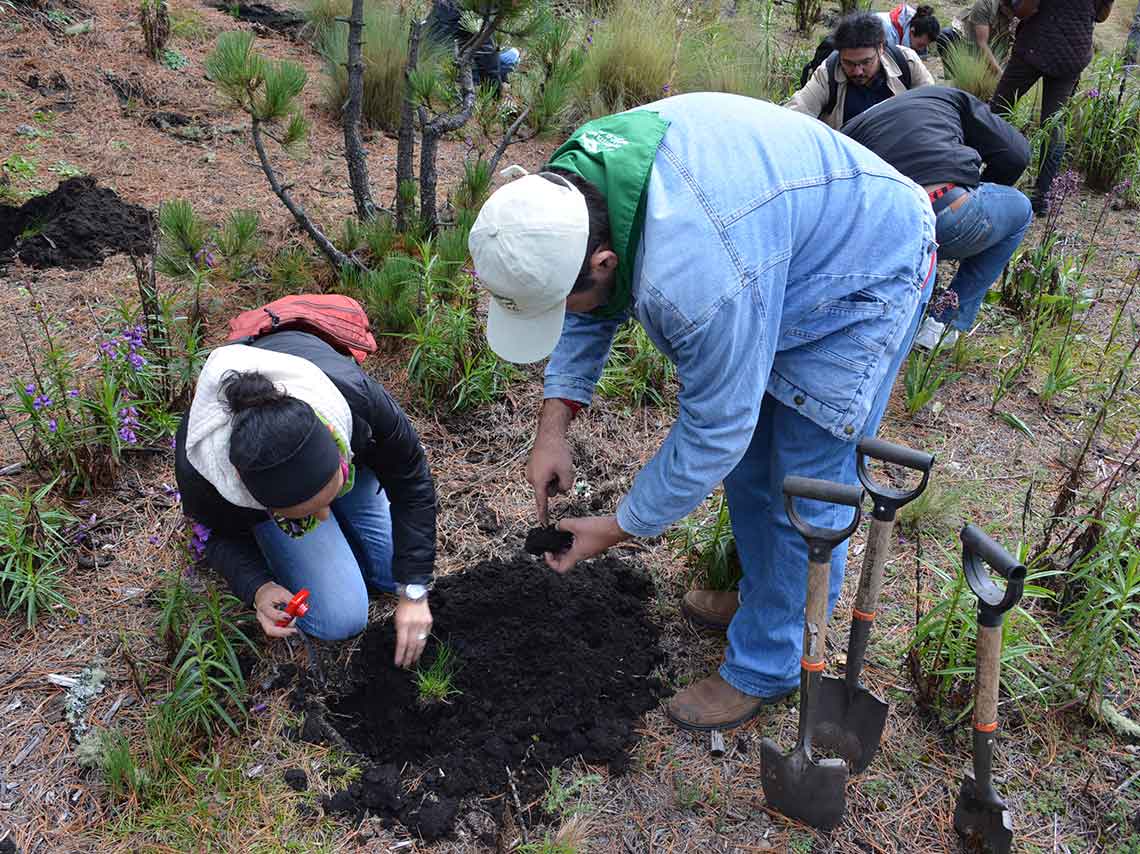 Viaja y gana dinero ayudando a los demás: Voluntariados cool 1