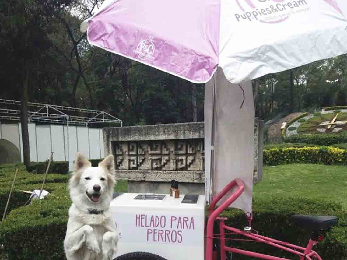 Helados para perros en Mexico Puppies and Cream 01