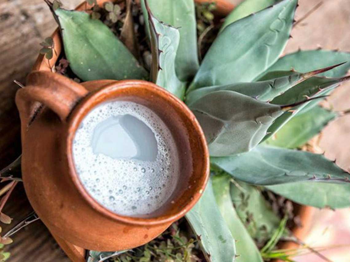 Feria del pulque 2017 en Clavería