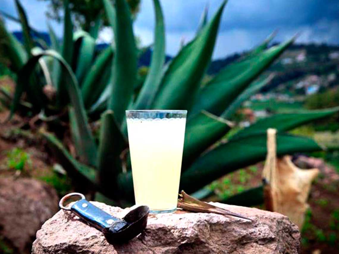 Feria del pulque 2017 en Clavería