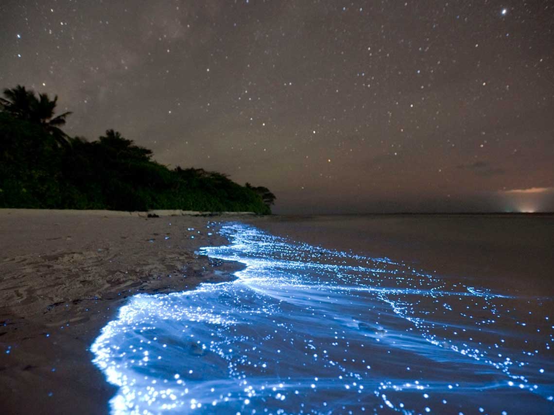 Pueblos para ver las estrellas en México ¡en el cielo y en el mar! 3