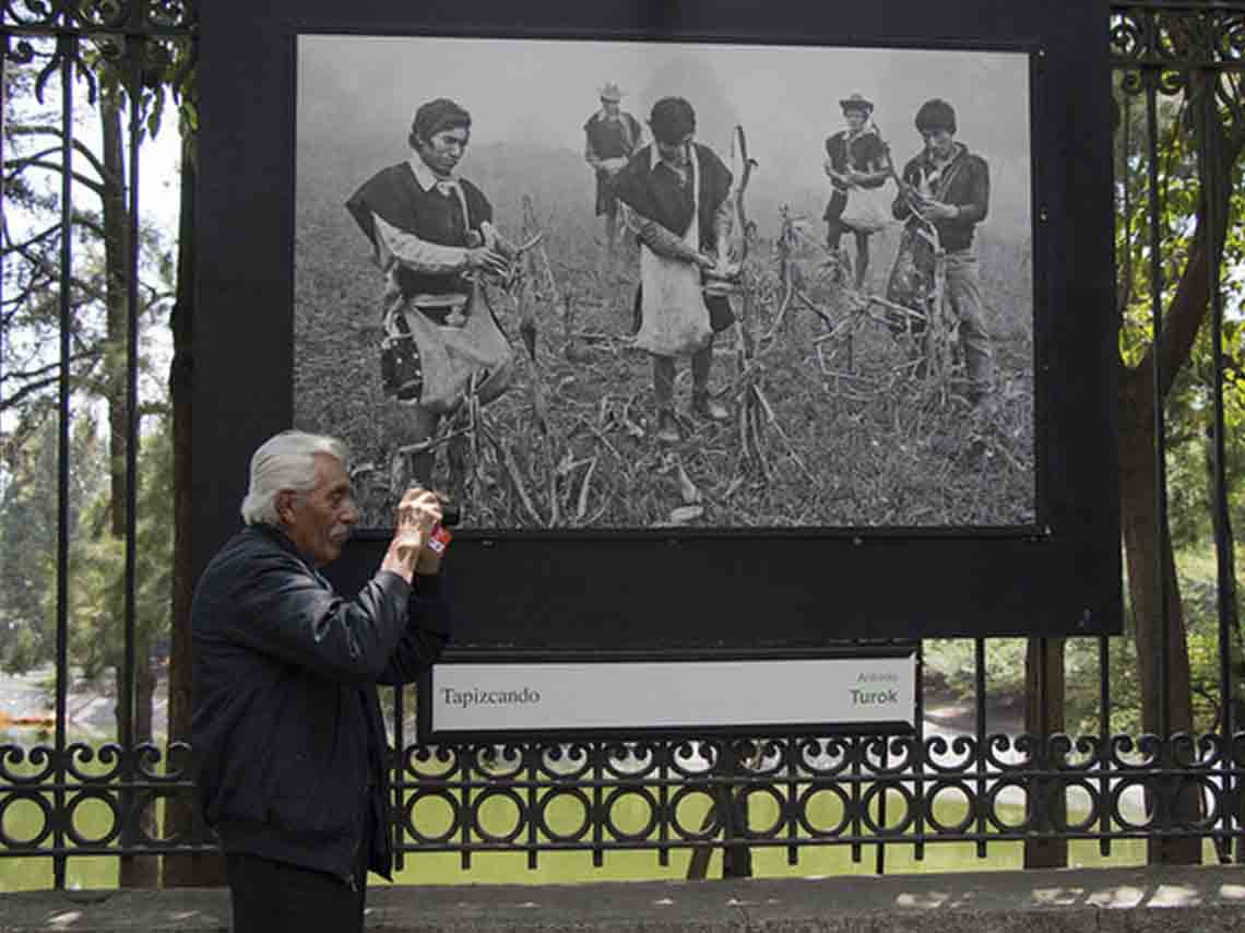 Visita las exposiciones gratis al aire libre en CDMX 2017 03