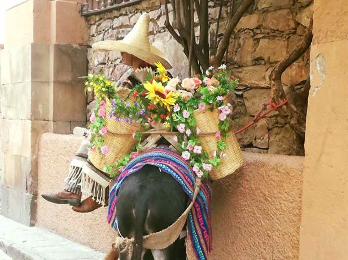 atracciones-turisticas-en-san-miguel-de-allende-19