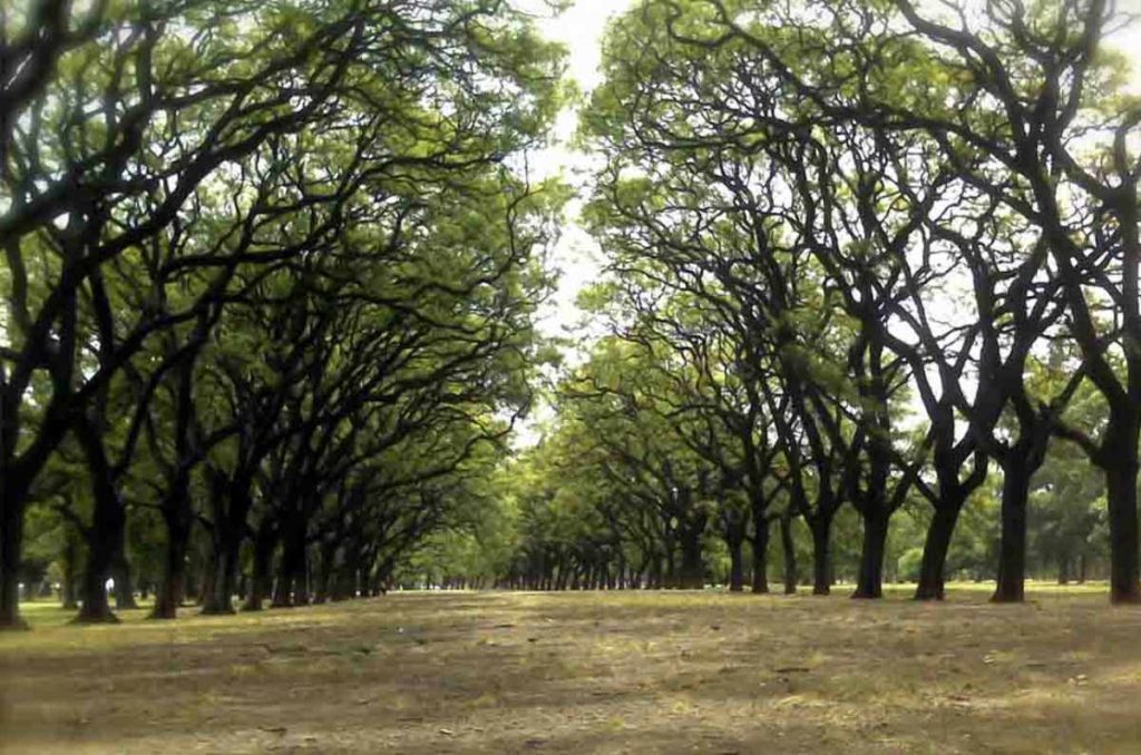 Parques y bosques en CDMX poco conocidos