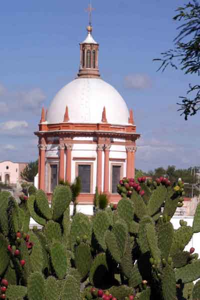 Exfóliate-con-burbujas-de-cerveza-en-Mineral-de-Pozos-03