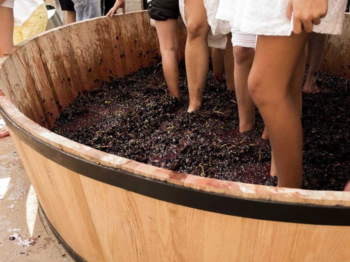 Festival Vino & Exquisiteces ¡pisado de uvas en CDMX!
