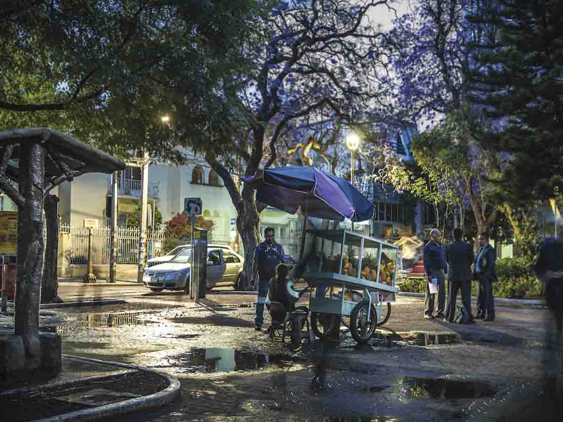 Qué hacer en el Parque México Condesa